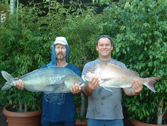 mark and tim