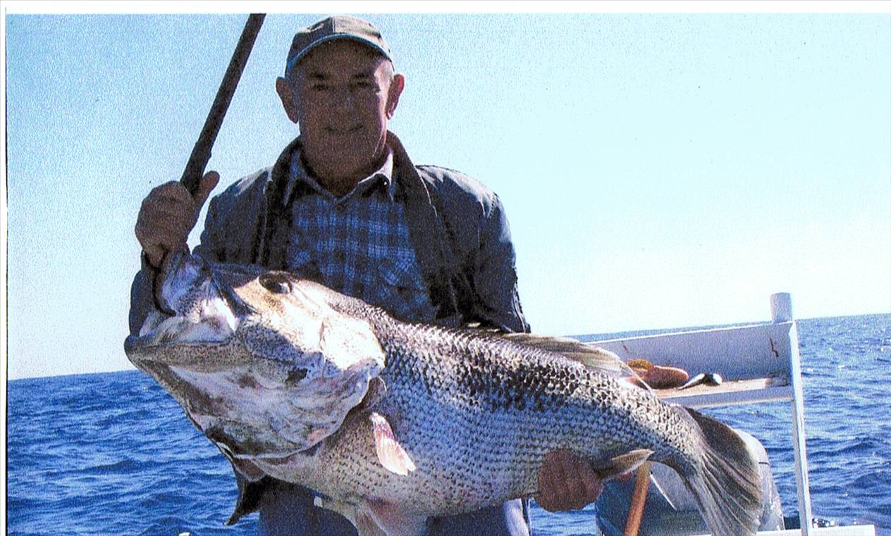 dads 21kg dhuie