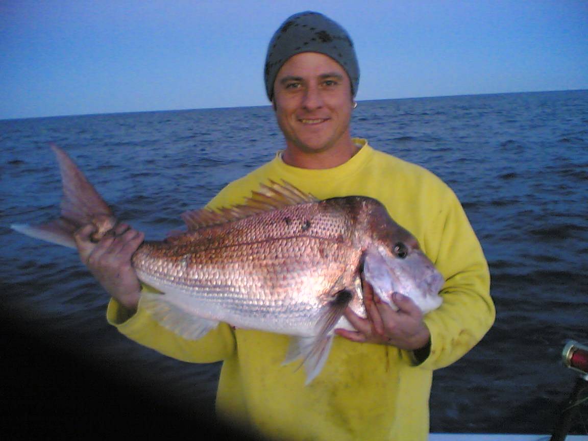 nice reds by AL & Darren