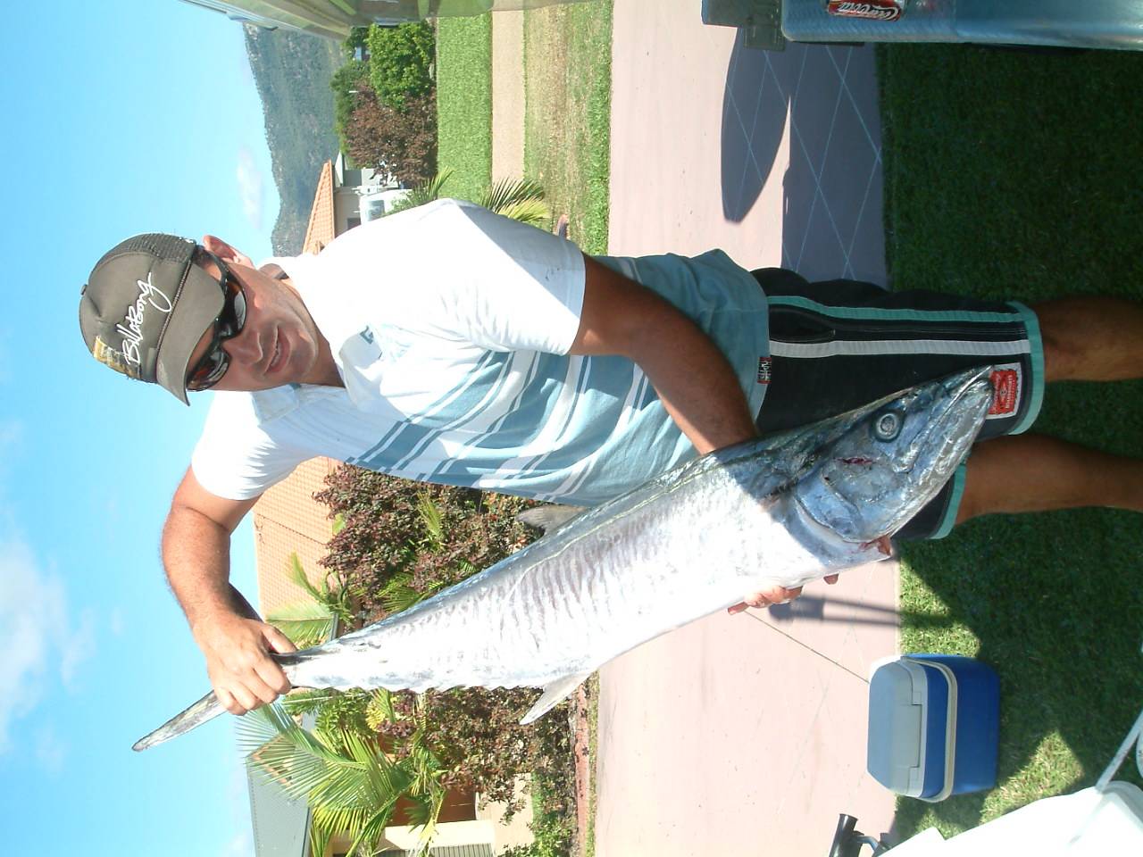 Spanish Mackeral 