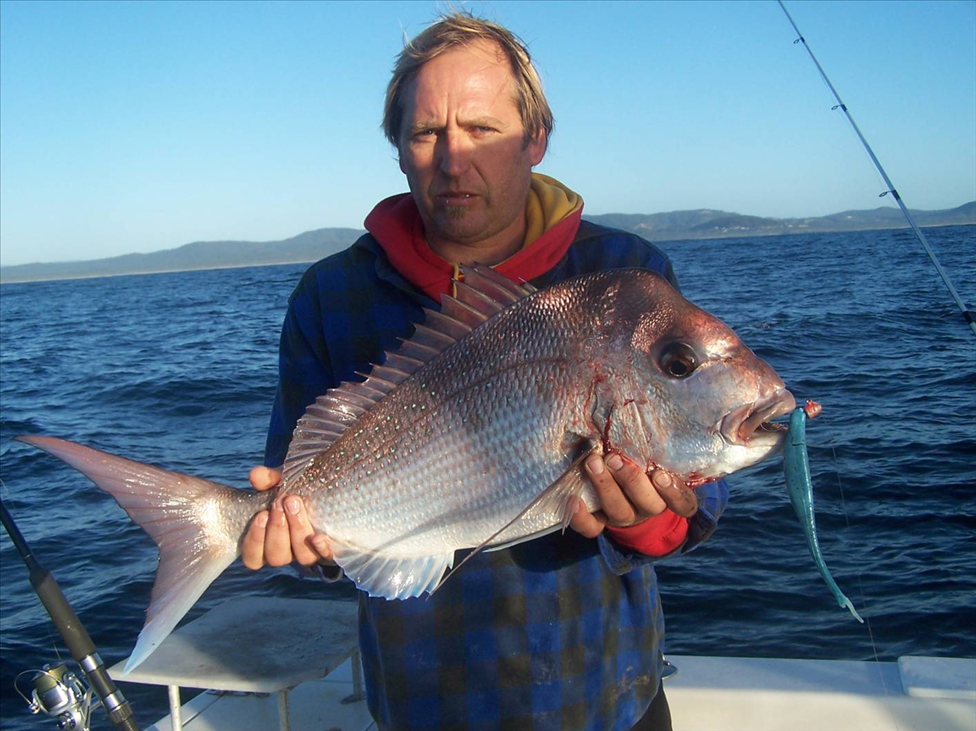 4kg red