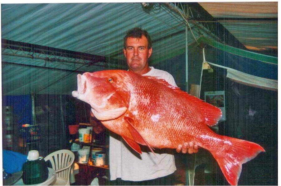 wades red 
