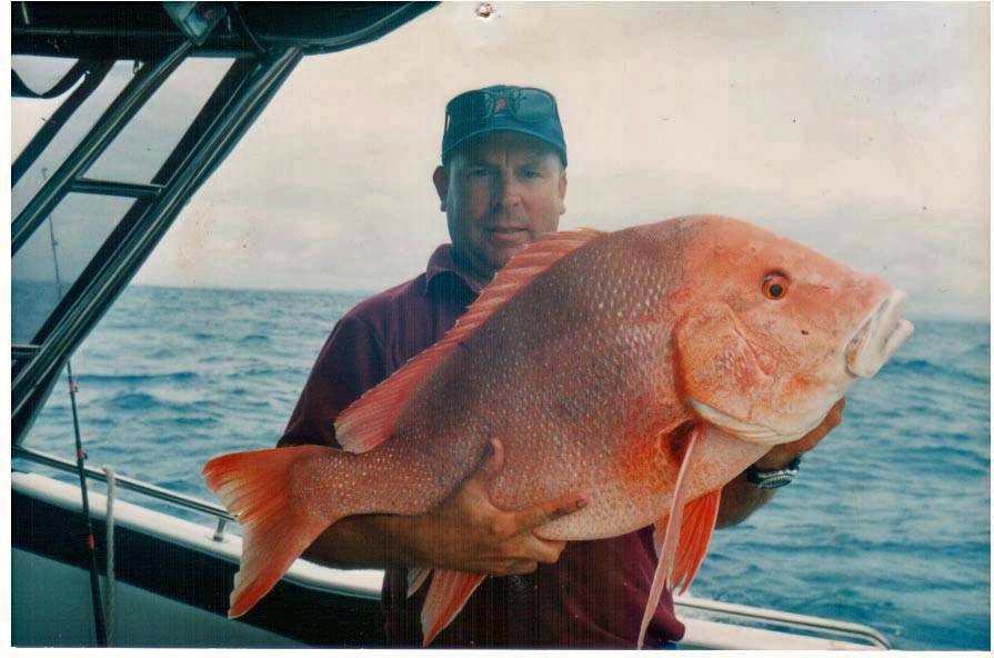 martins red 