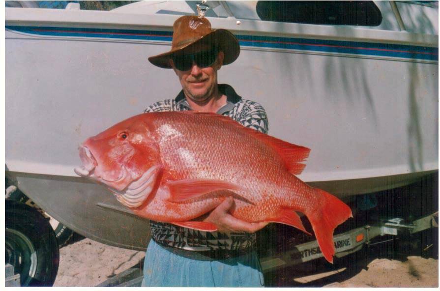 kens red 