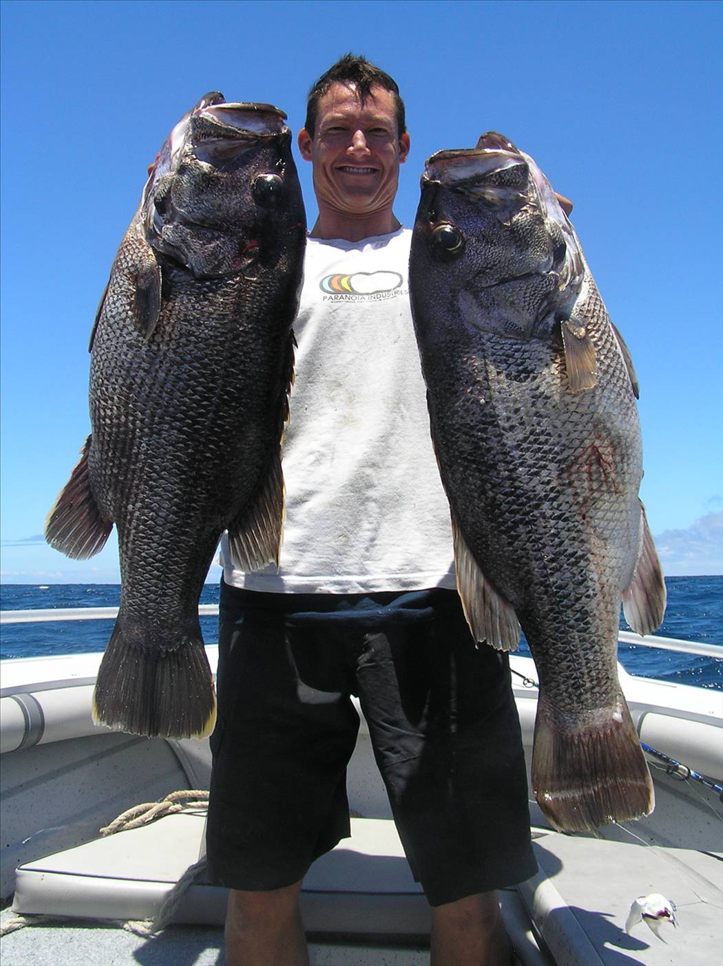 Not a bad days fishin in the sw!