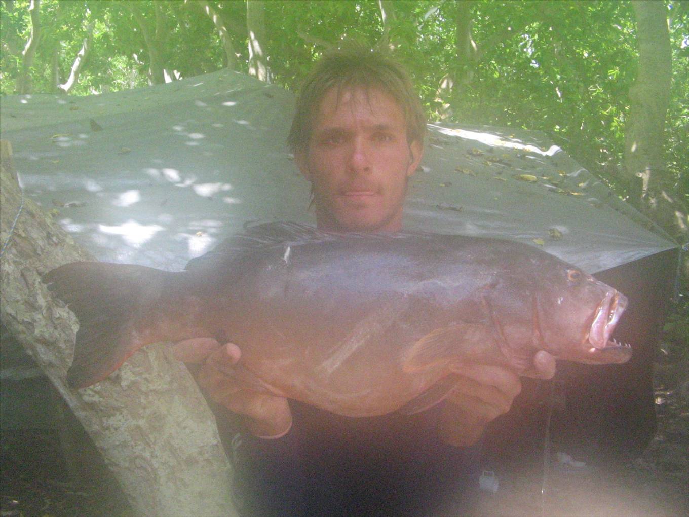 5kg trout 