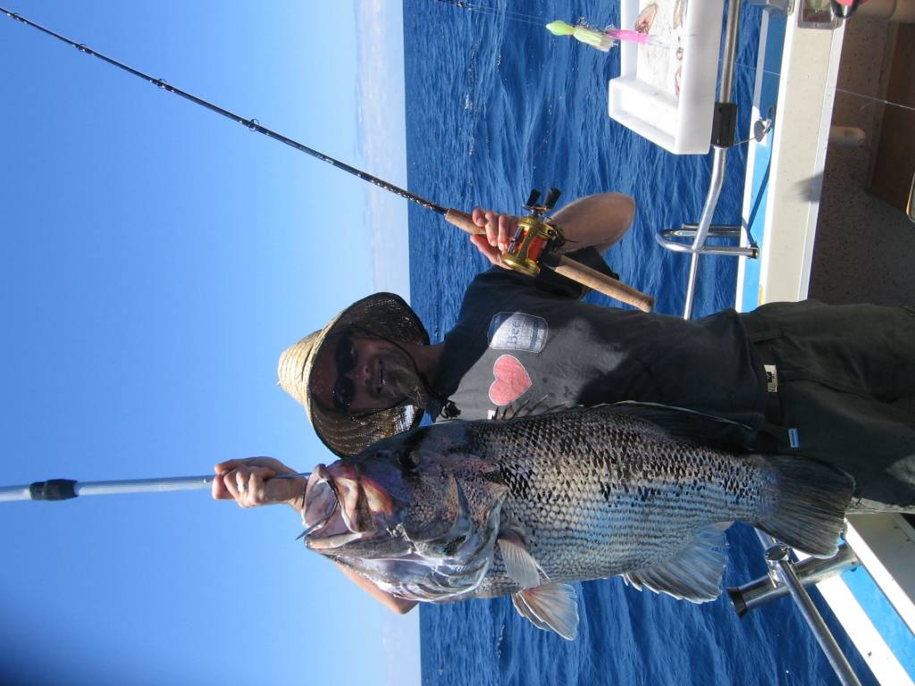 some nice fish