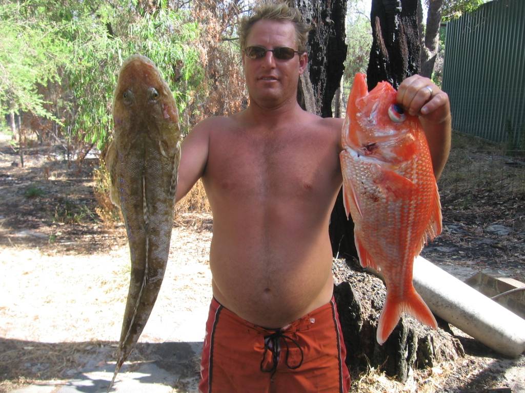 nice flathead