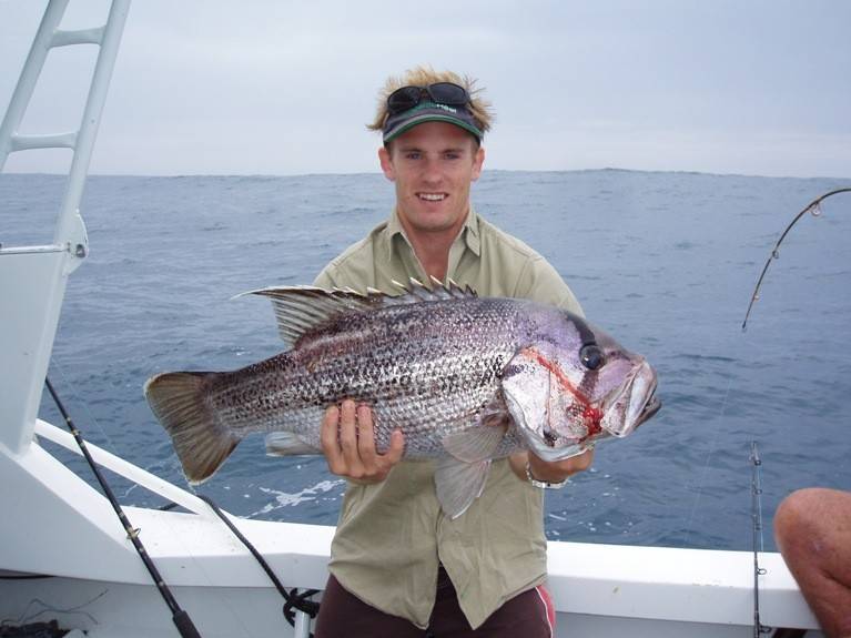 Xmas Fish West Aust