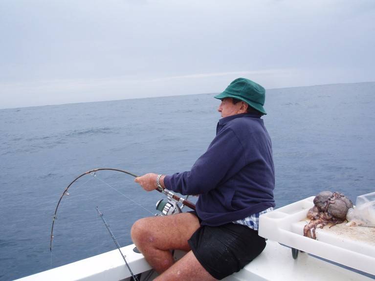 Xmas Fish West Aust