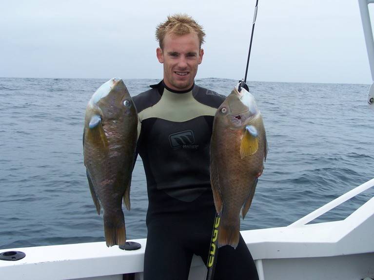 Xmas Fish West Aust