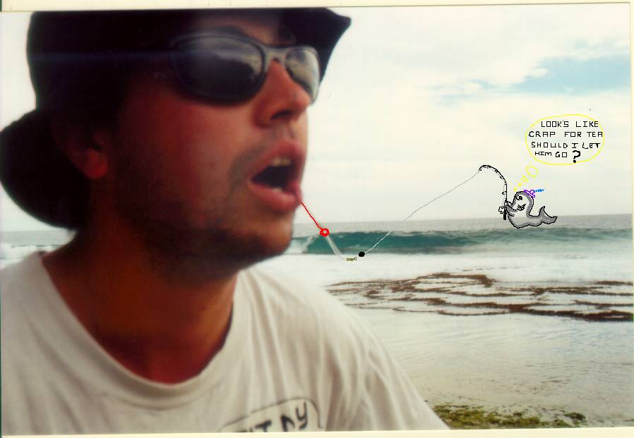 caught a steve wonder