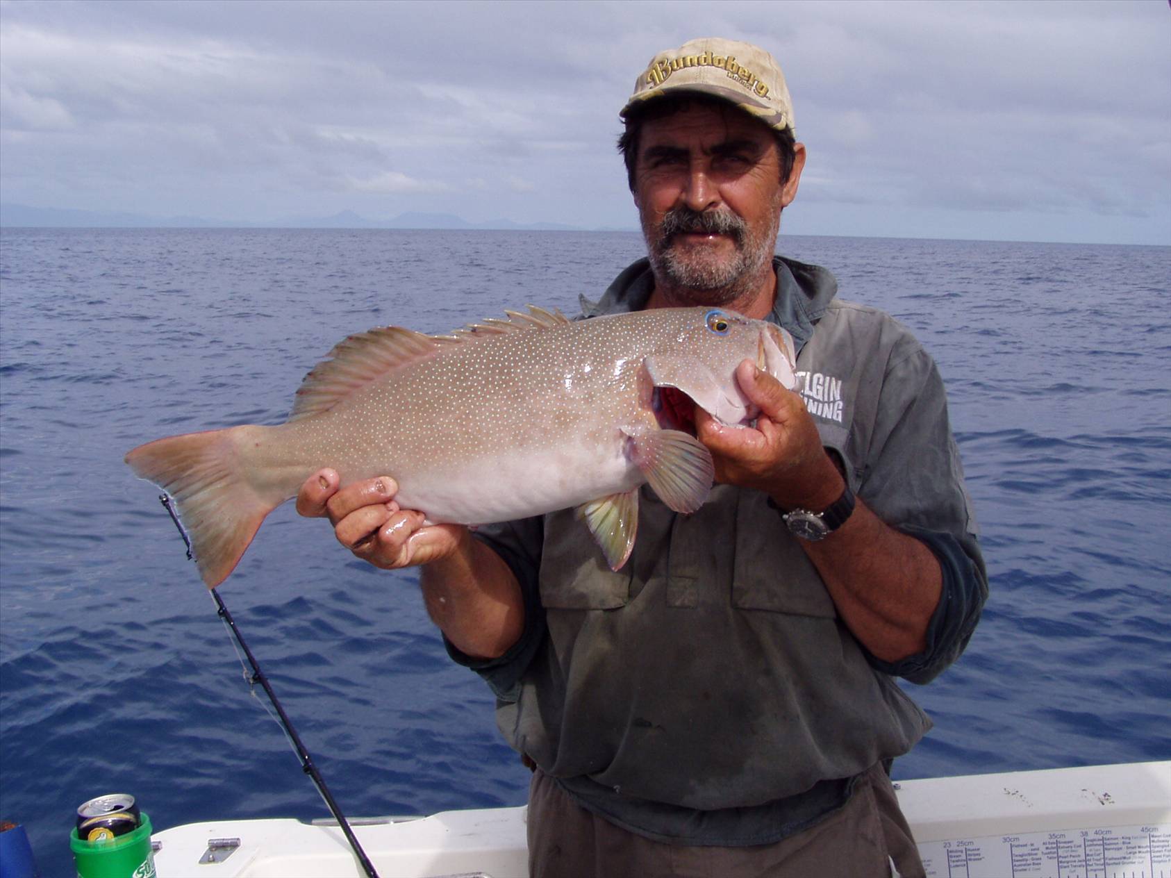 coral trout