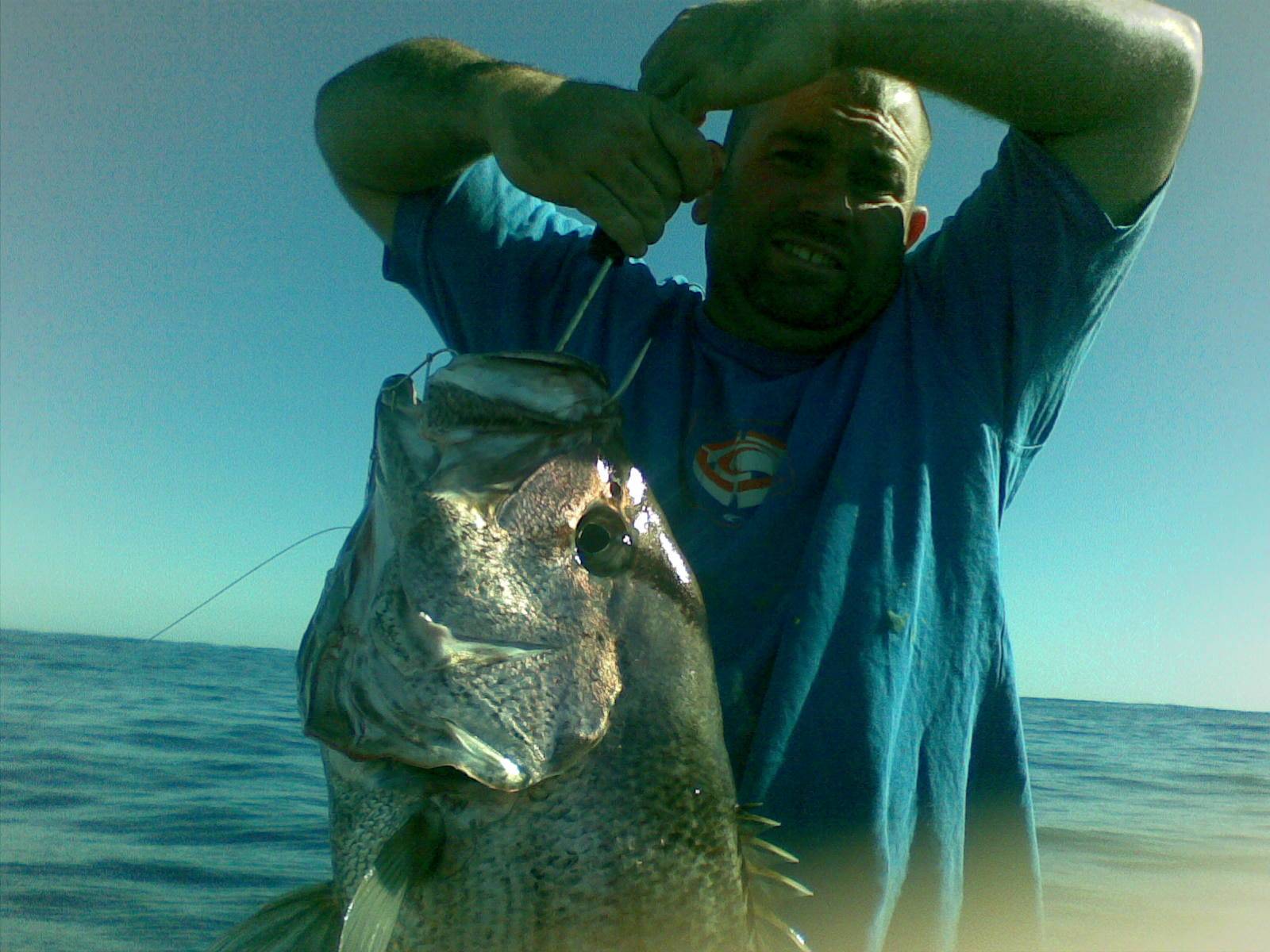 10 Kg Dhufish