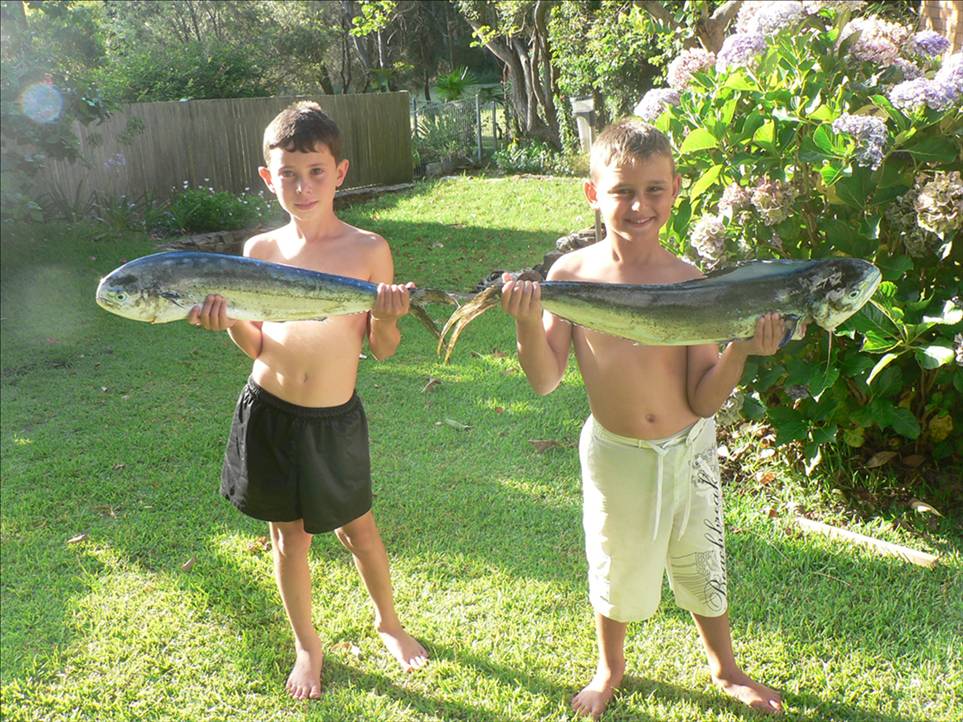 FIRST TIME OUTSIDE - DOLPHIN FISH