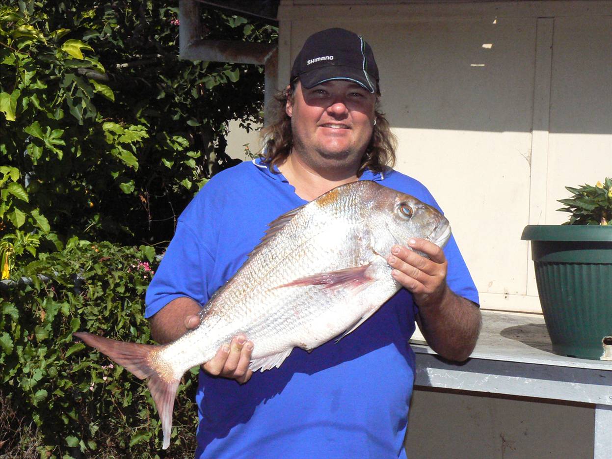5.5kg Snapper