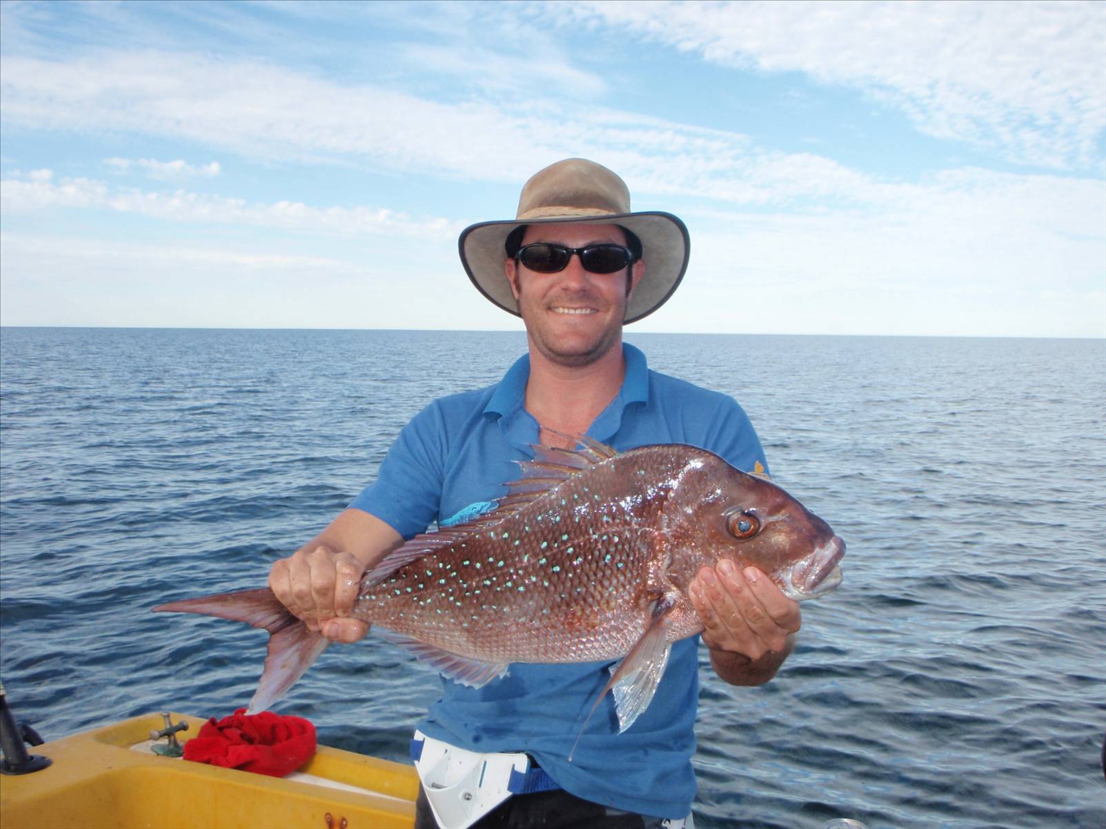 shark bay
