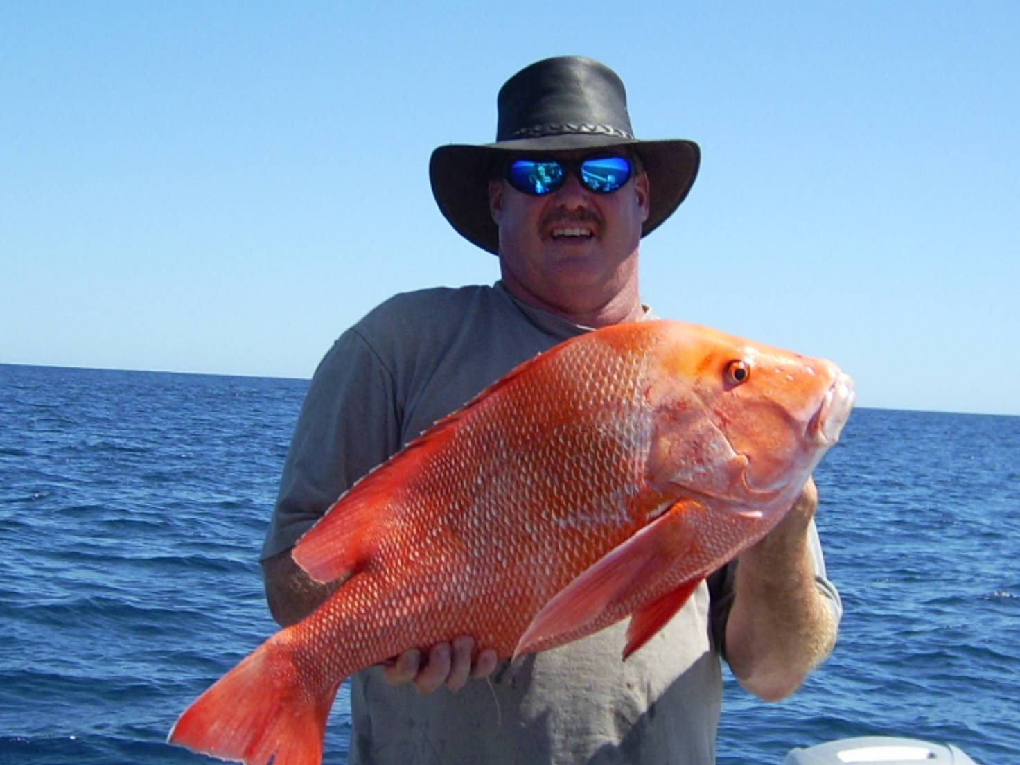 Coral Bay Red