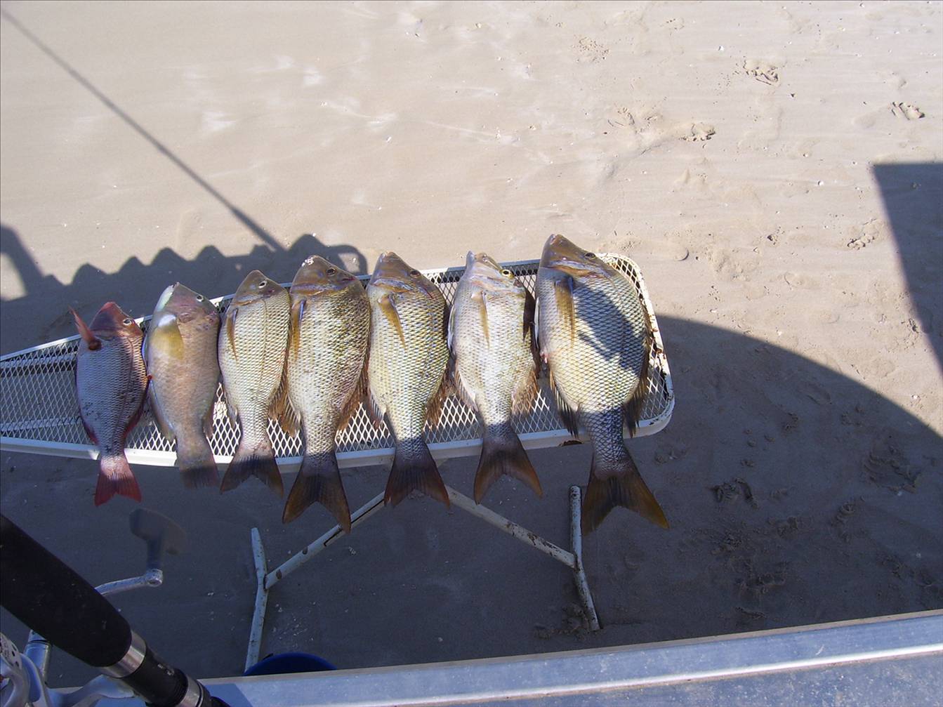 OK Trip to steep point