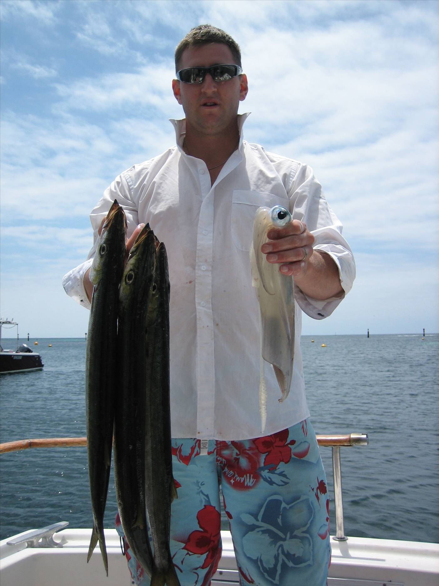 Feed of Pike and Squid Rotto