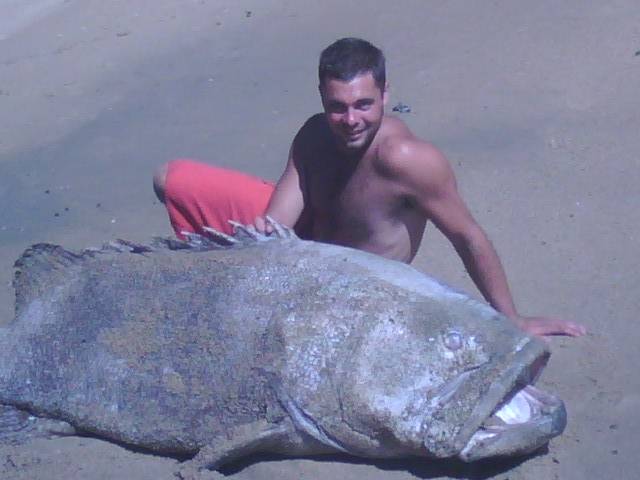 big Fish