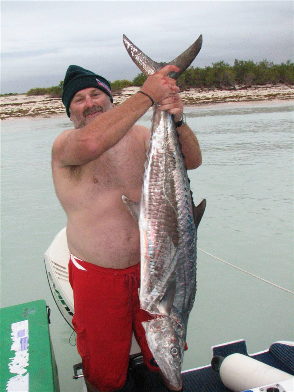 spanish mackeral