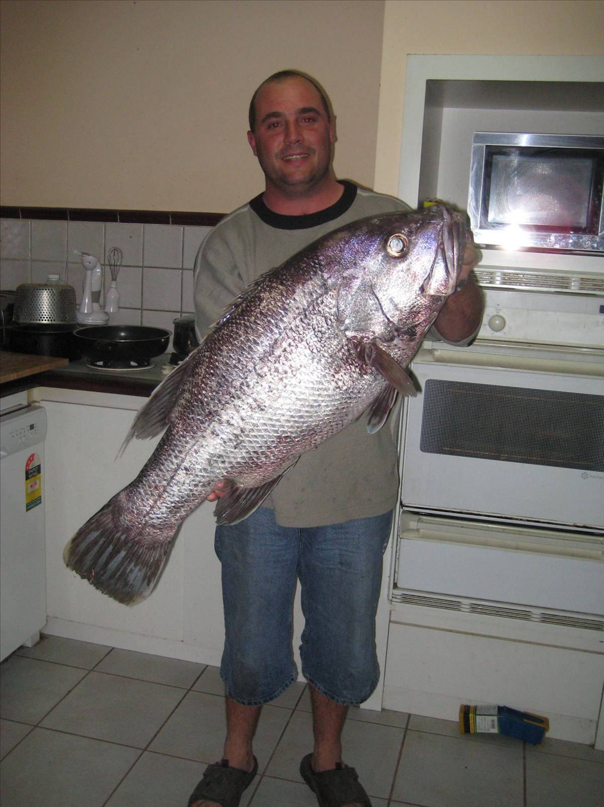 13k dhue caught at ocean reef wa