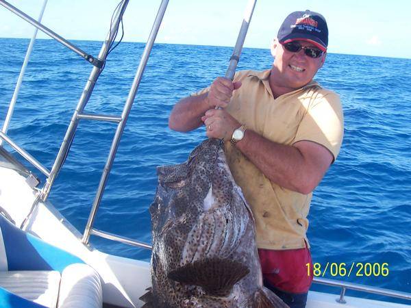 bolt reef cod 