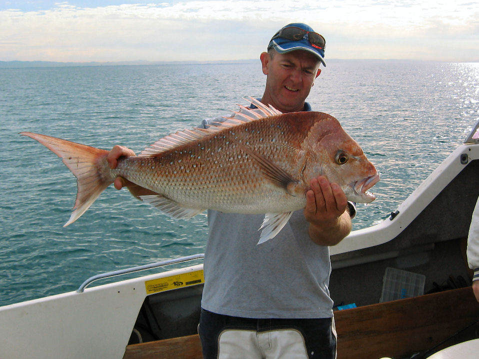 12 pound Snapper