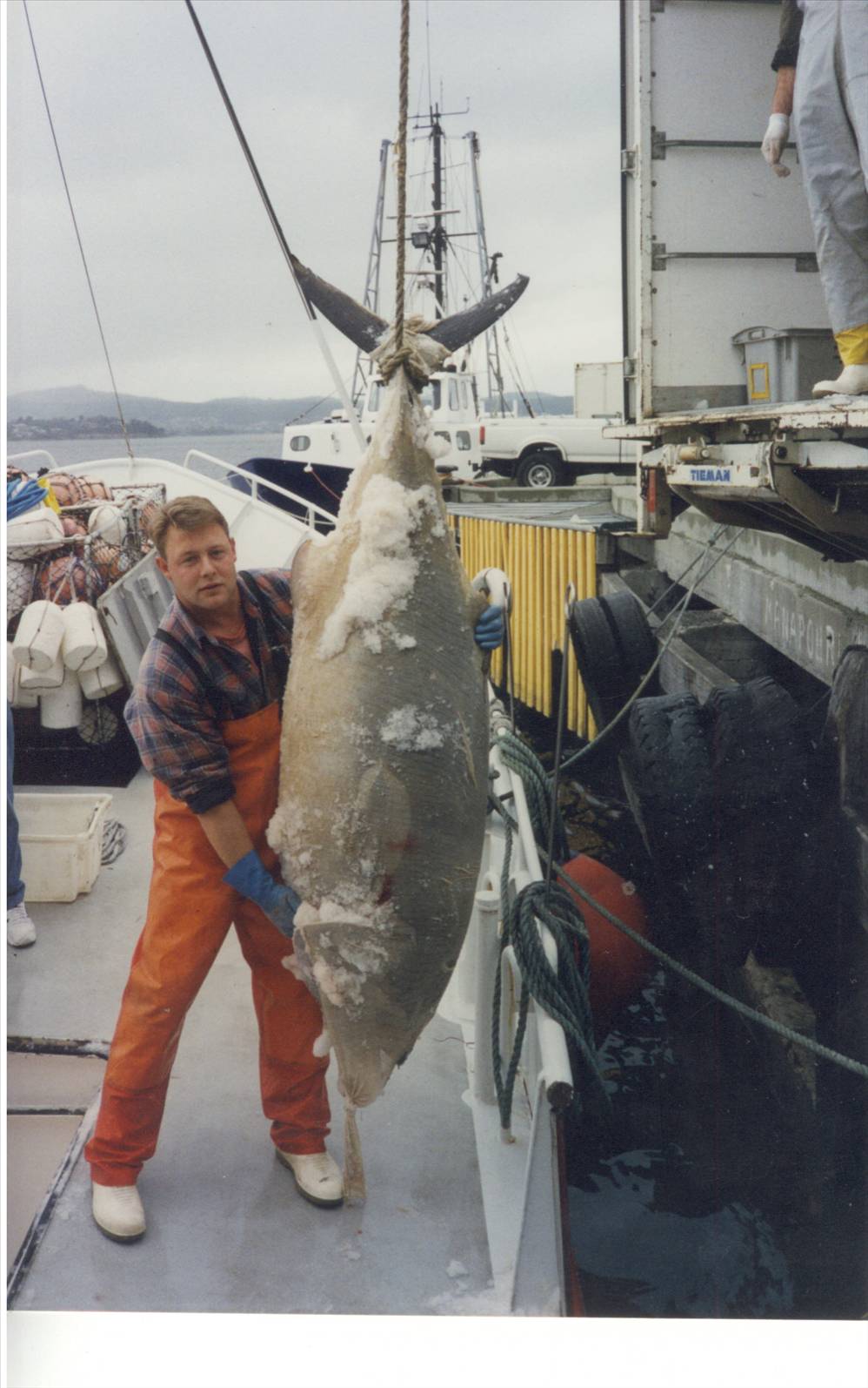 156kg Southern Bluefin Tuna