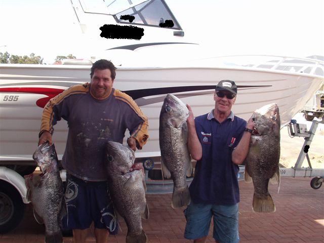 silver snapper