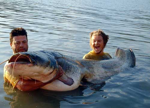 canning river cobbler