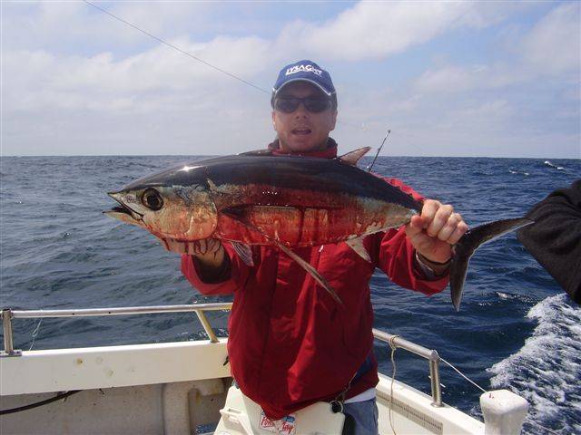 Fresh Tuna