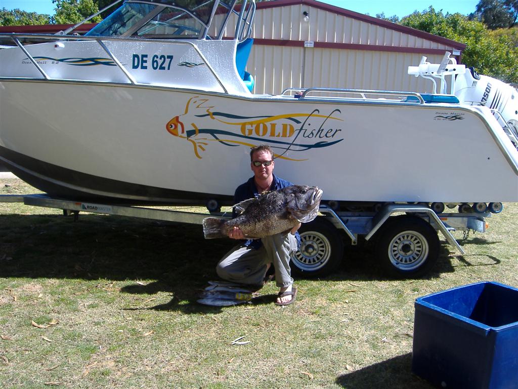 quality day 30km off mandurah 1m long dewy