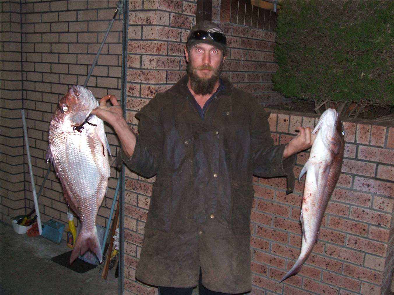glen s  pinkies