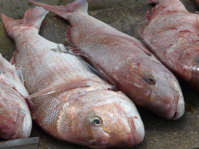 esperance pinkies