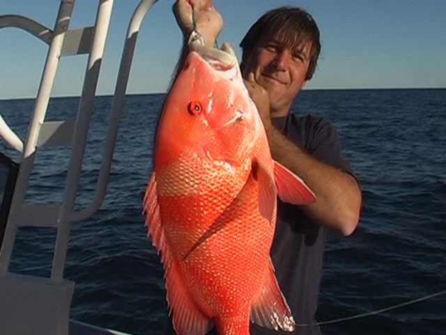 Coral Bay red