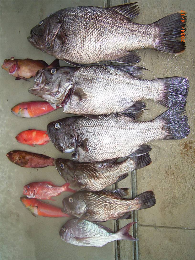 One Dhu each to take home