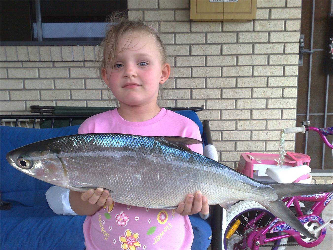 not a bad catch for crab bait
