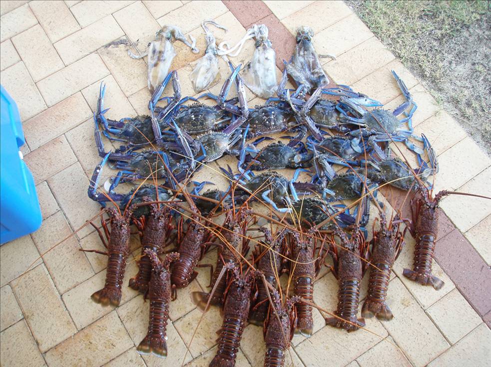 the haul