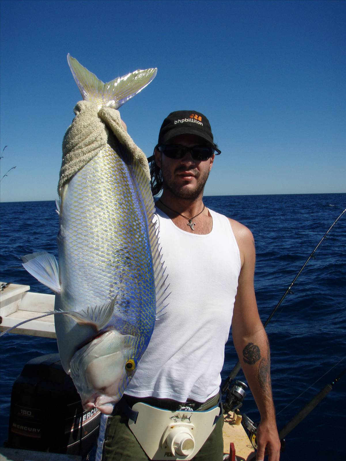 Robs queen snapper
