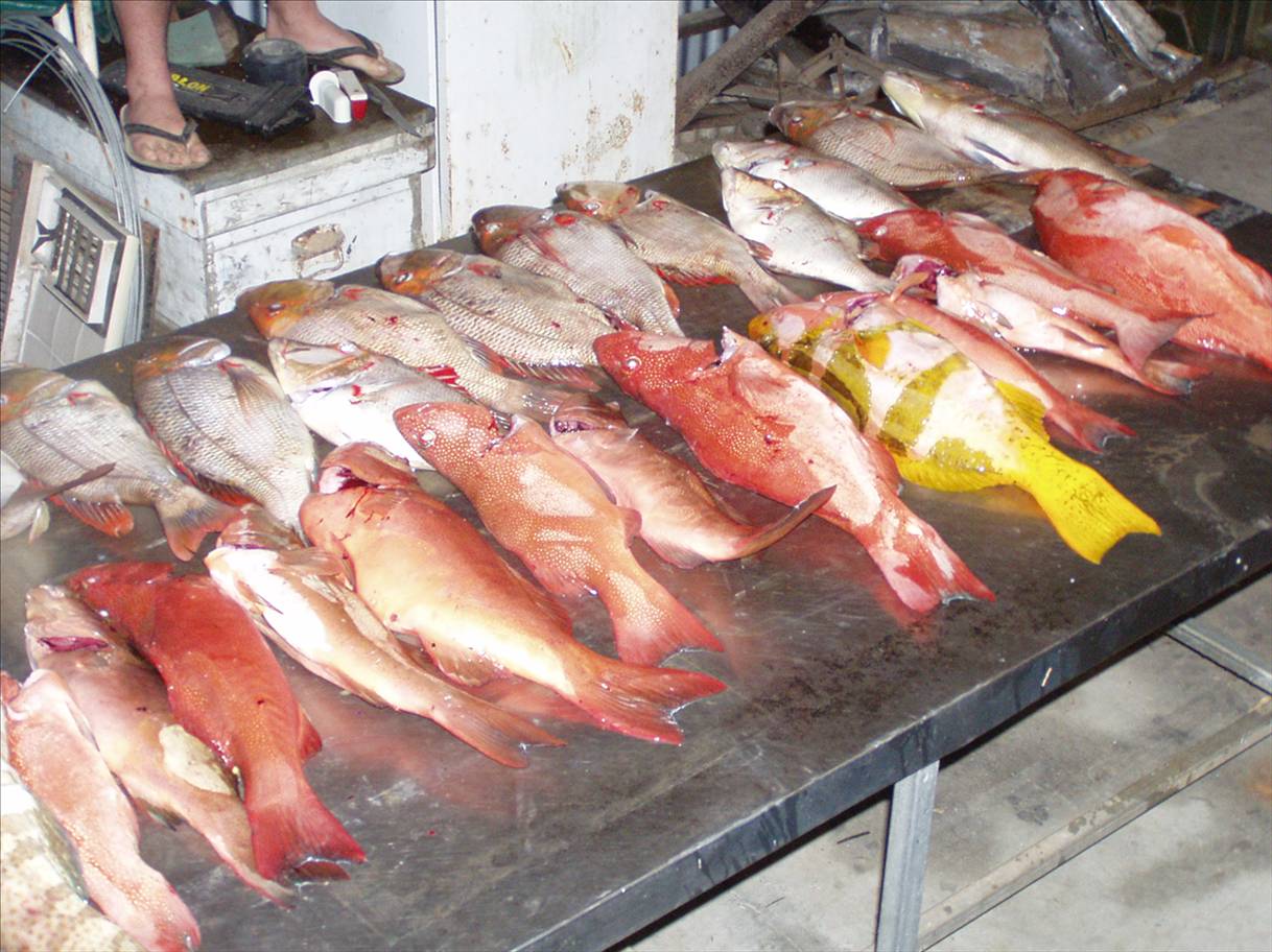 a few days good fishing