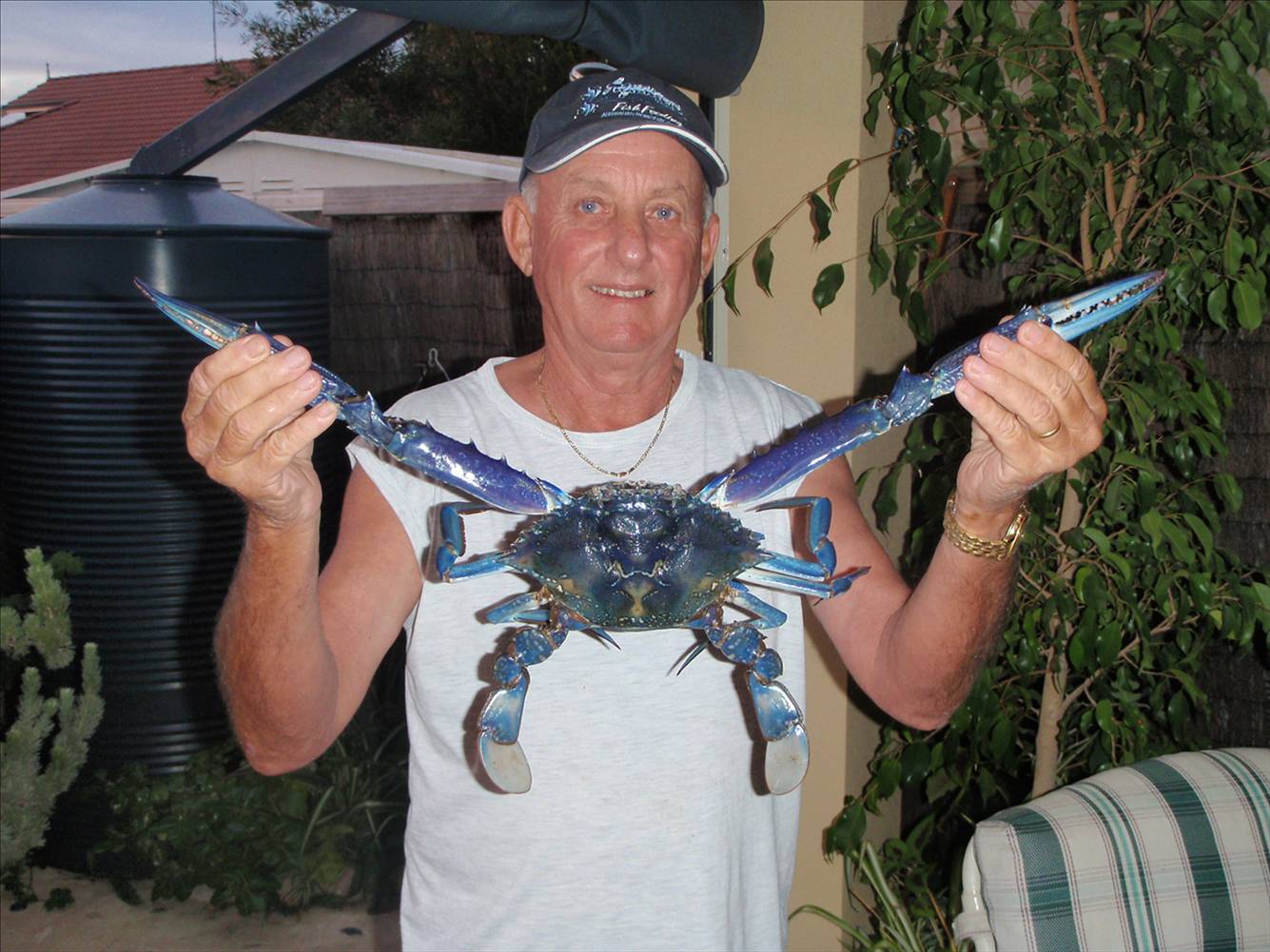 BIG BLUEY!