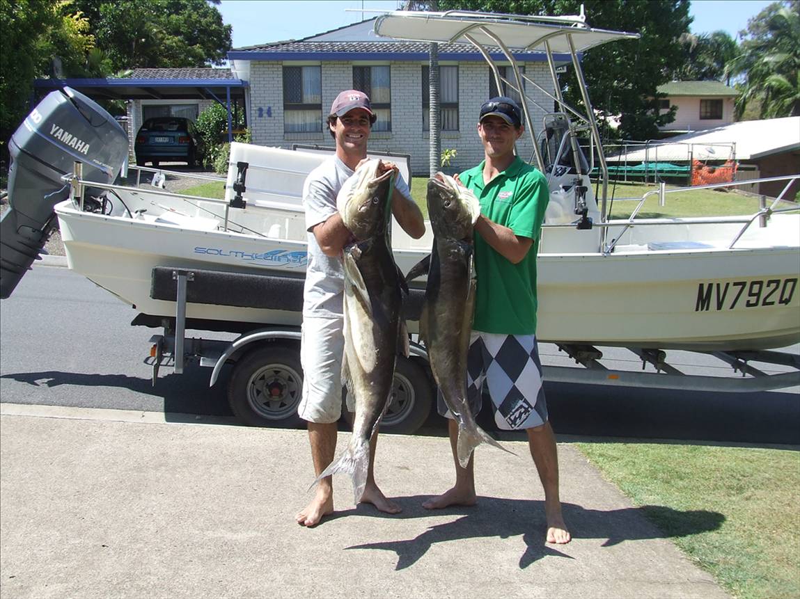 cobia 25 and 30kg