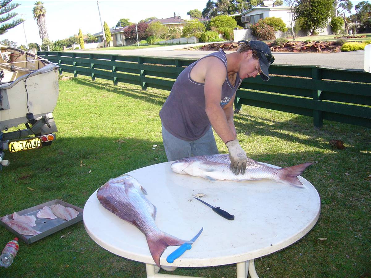 SOME NICE PINKS FROM THE TINNY IN ALBANY