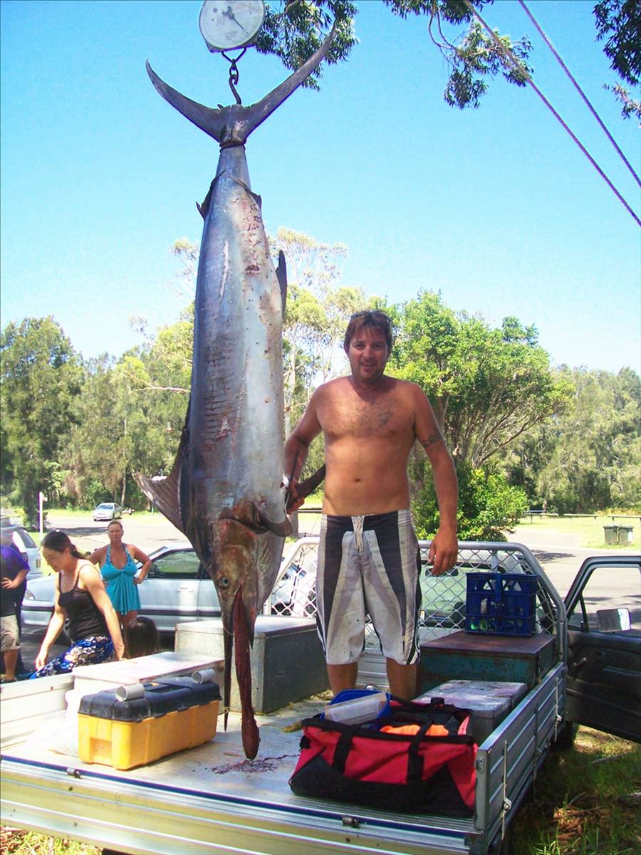 Marlin me up