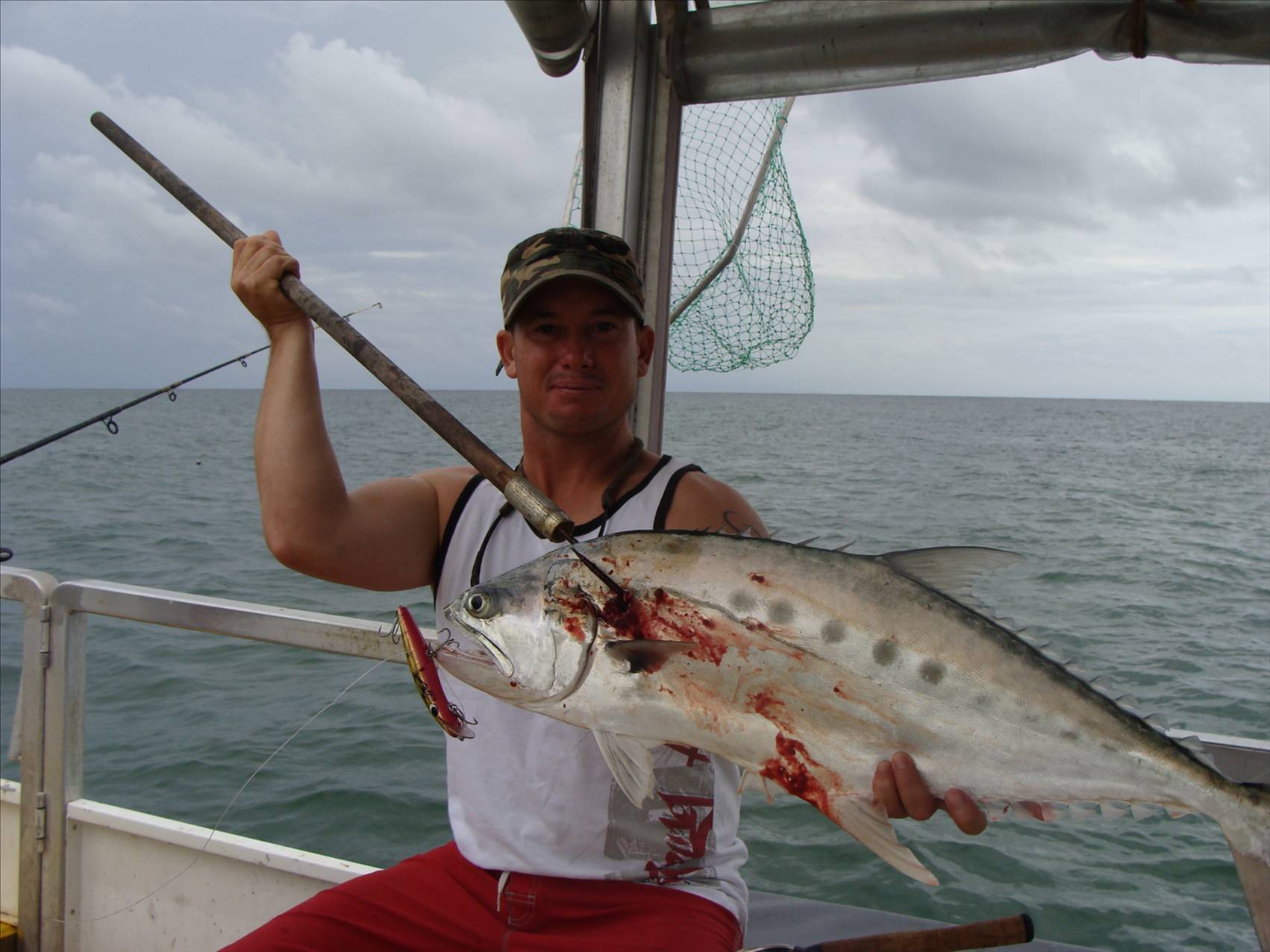 feelthefish