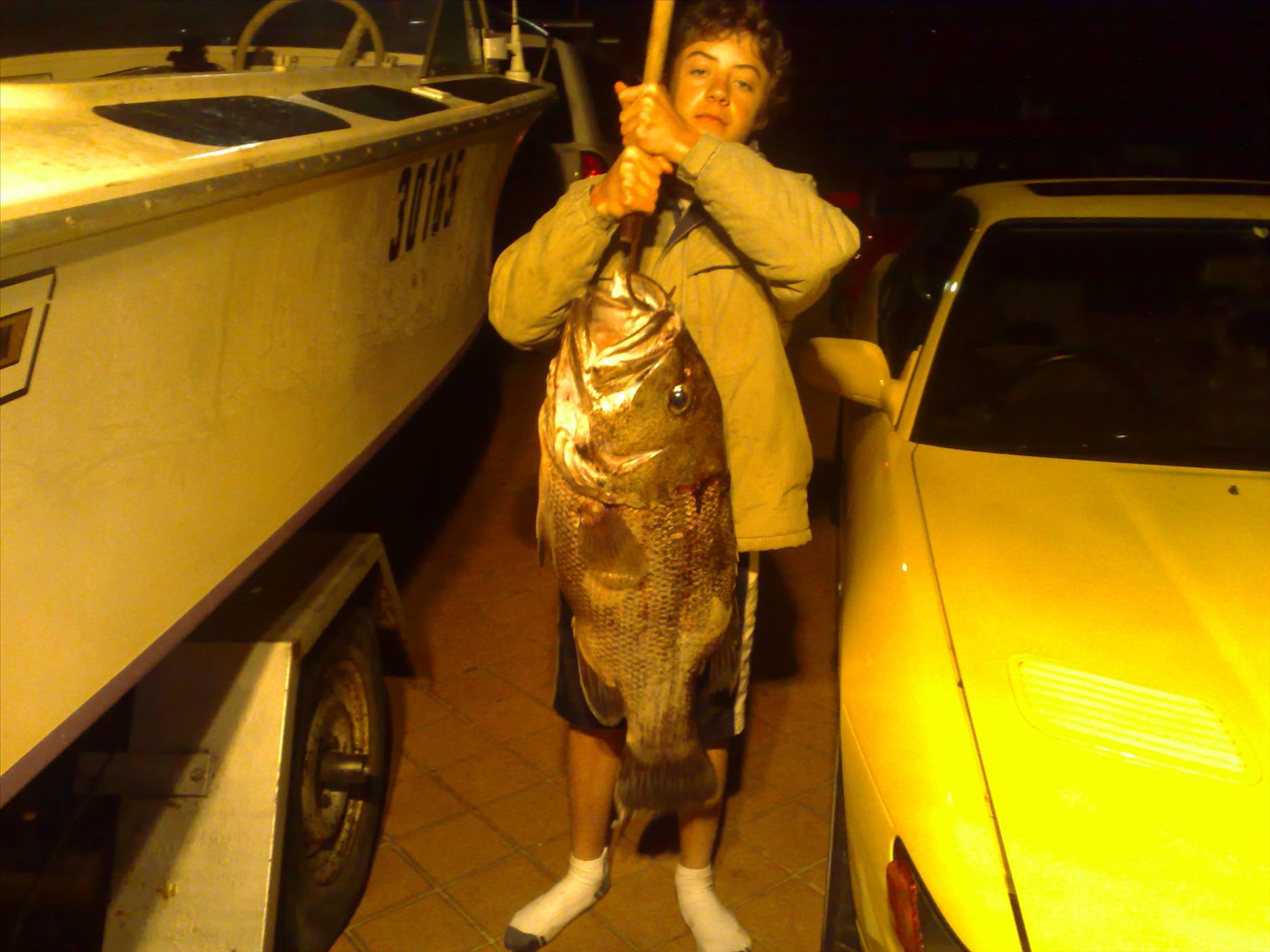 Dhufish