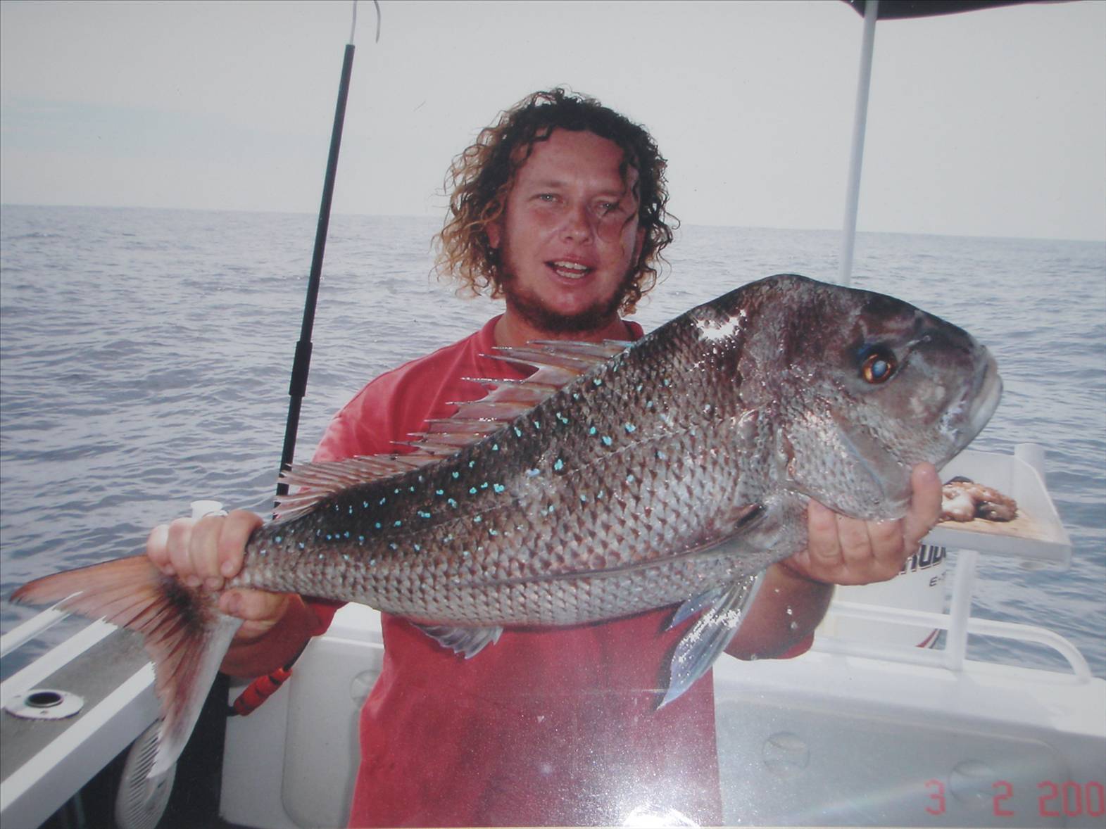 great snapper chriso