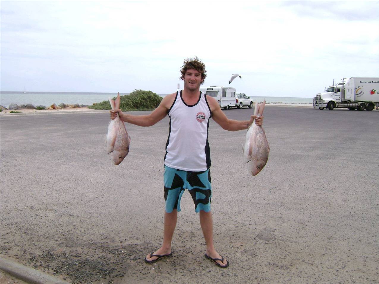 Snapper